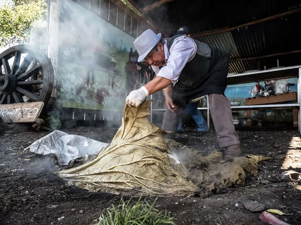 curanto preparation