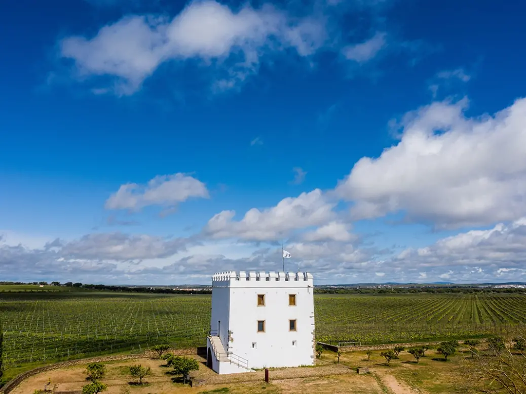 Herdade do Esporão Torre