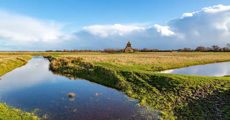 Gusbourne Estate: Putting down roots - Vimarsana News