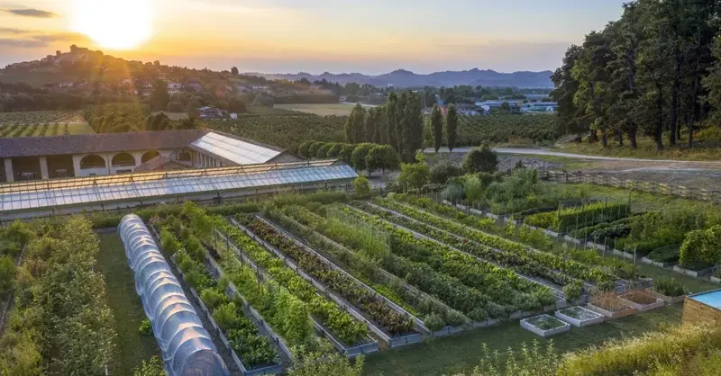 Ceretto Barolo dinner: Terroir, art, and truffle hunting - Vimarsana News