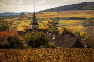 On Burgundy: the village of Monthélie and vineyards.