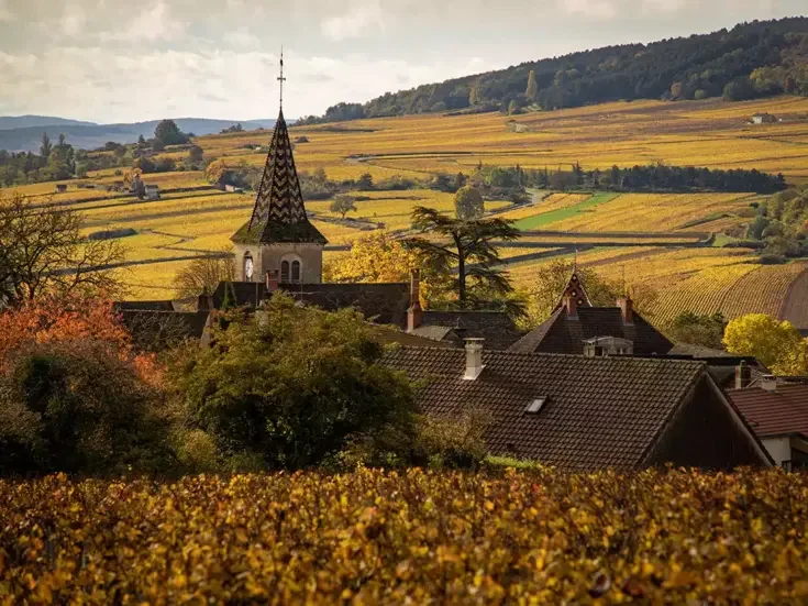 On Burgundy: the village of Monthélie and vineyards.