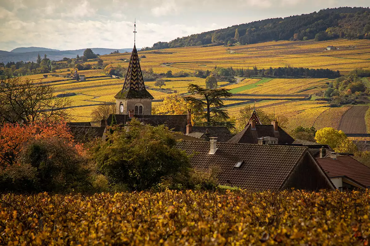<em>On Burgundy</em>: A splendid, companionable reflection of wine-drenched bounty