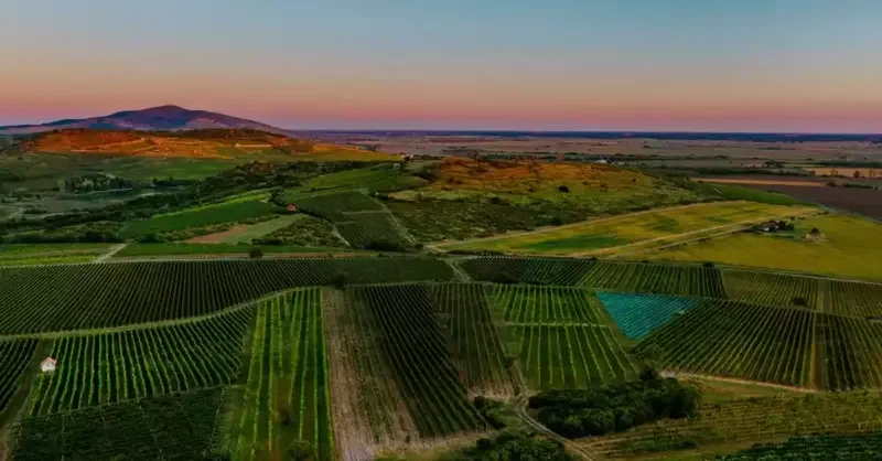 Tokaj: The villages and vineyards for dry white wine - Vimarsana News