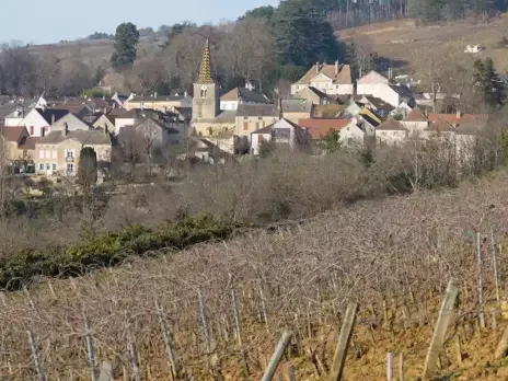 2023 Burgundy tasting notes: Côte de Beaune Part I