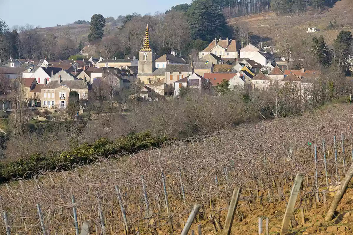 2023 Burgundy tasting notes: Côte de Beaune Part I
