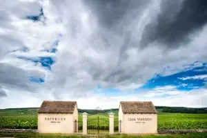 The Faiveley vineyard – 2022 Burgundy