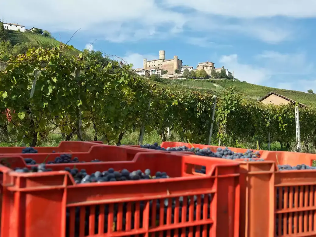 Roagna's vineyards in Barbareso
