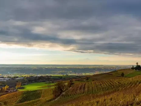 2019 Barolo: Much purity and refinement