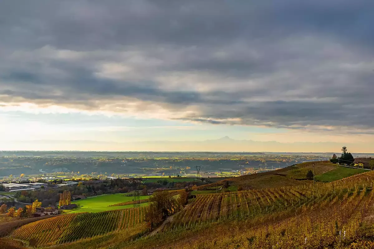 2019 Barolo: Much purity and refinement