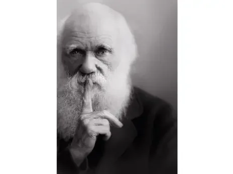Did Darwin save wine?