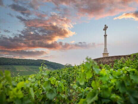 Louis Latour Corton-Charlemagne 2013–2022: The thrill of the hill