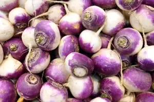 Turnips a vegetable discussed in Stuffed by Pen Vogler