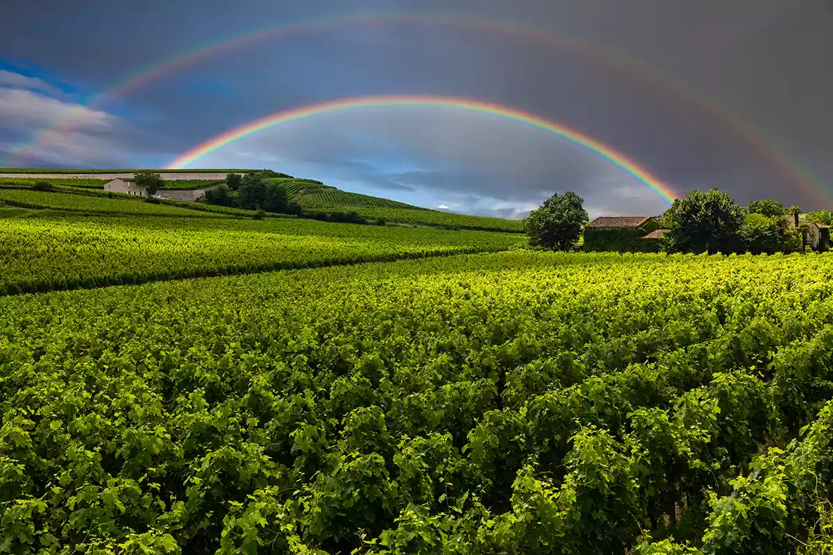 2023 Bordeaux: Enigma decoded 2023 Bordeaux: Enigma decoded
