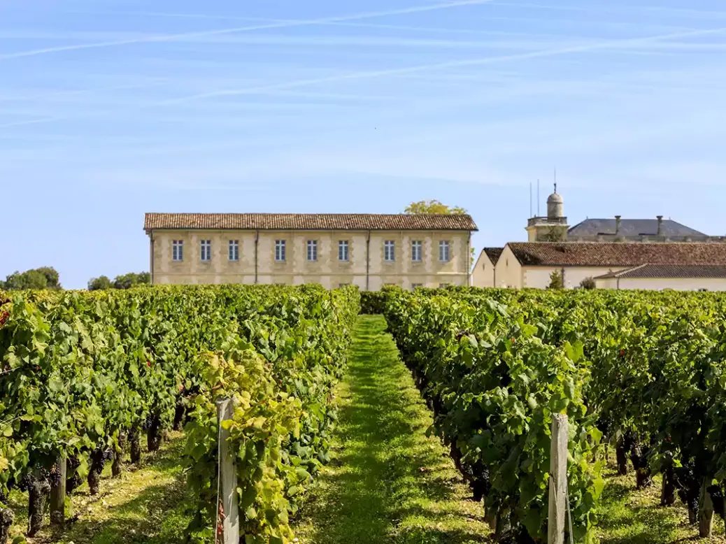 Château Gruaud Larose in St-Julien, one of the successes of a variable vintage, a successful wine in the 2023 en primeur campaign.