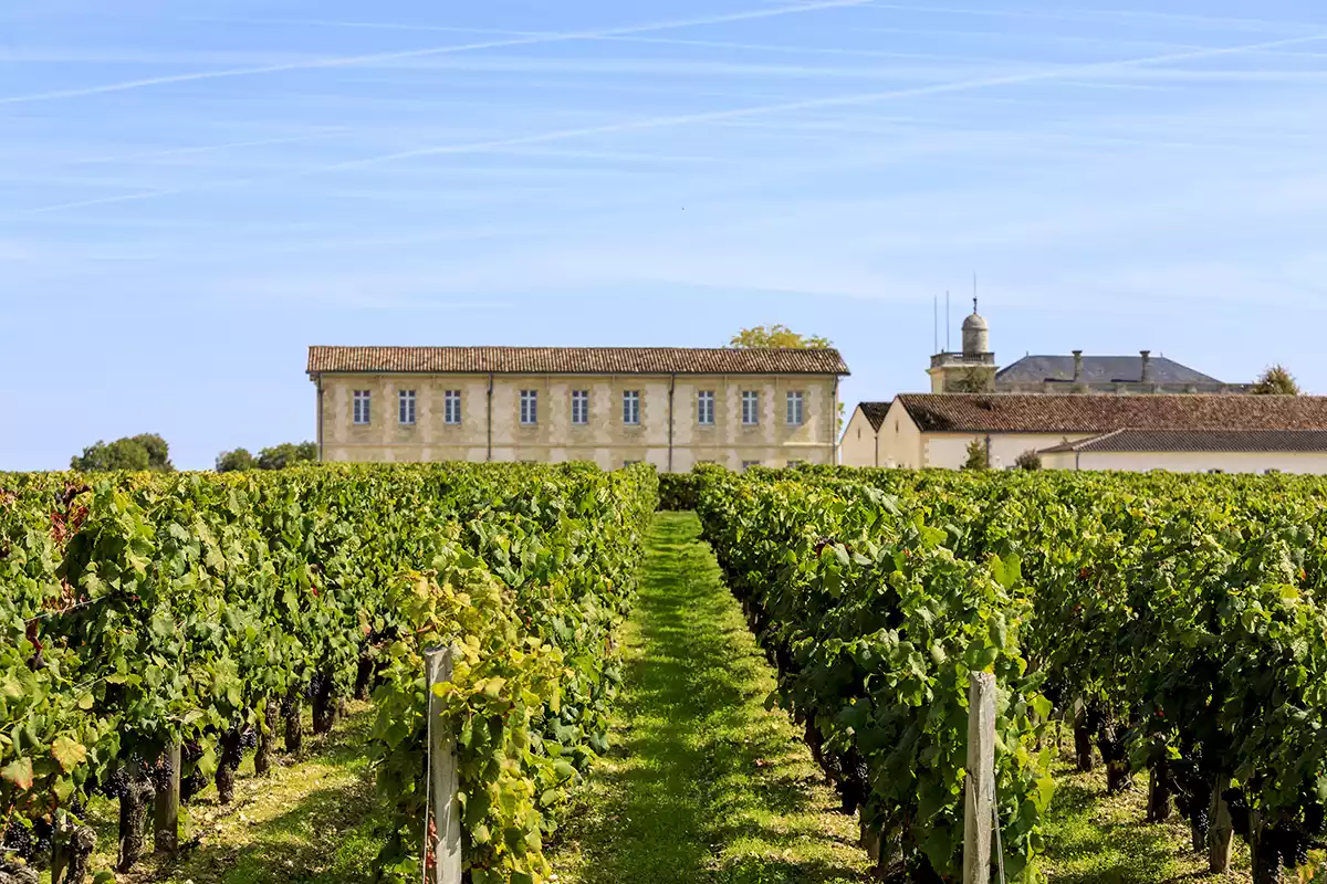 2023 Bordeaux Field notes: Mixed blessings