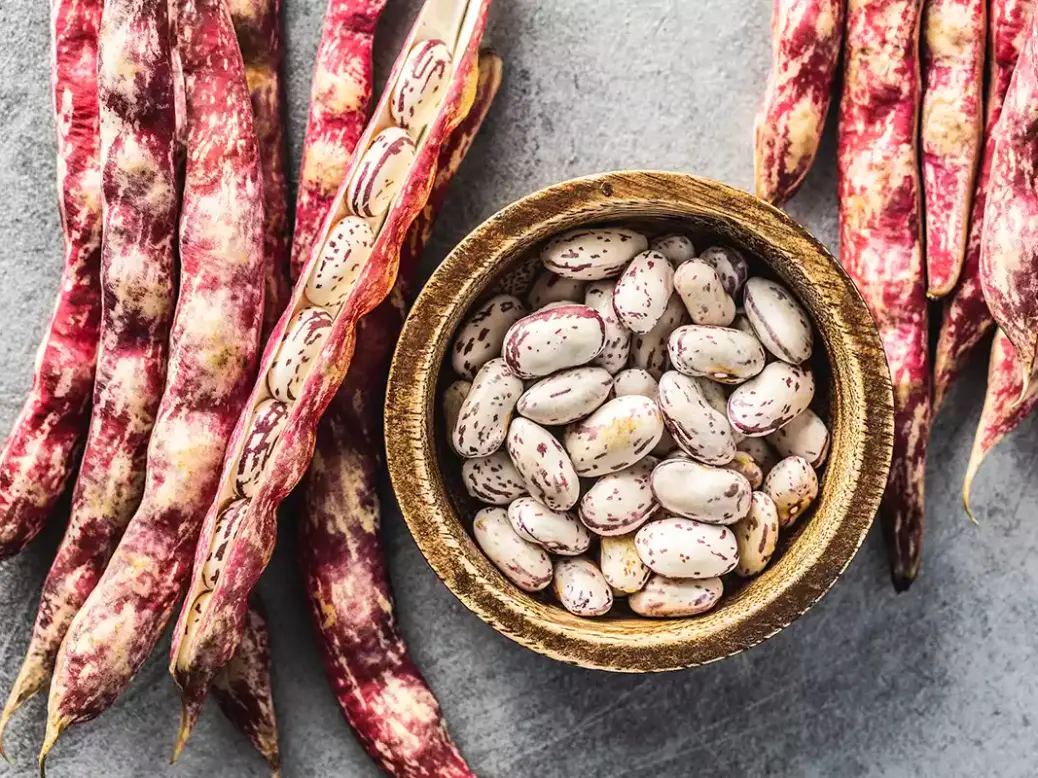 Borlotti beans used to make porotos granados