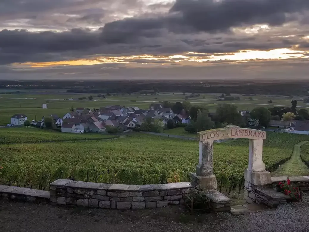 Clos des Lambrays vineyard