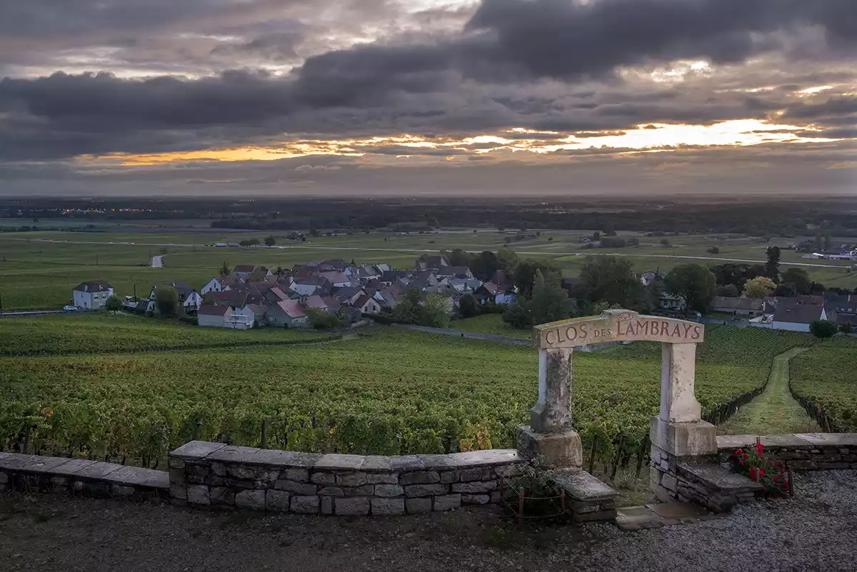 Clos des Lambrays 1923–2023: Lengths and breadths of time and all-time highs