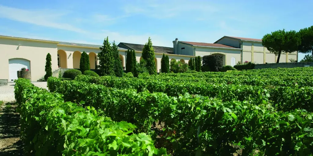 Château Tour des Termes