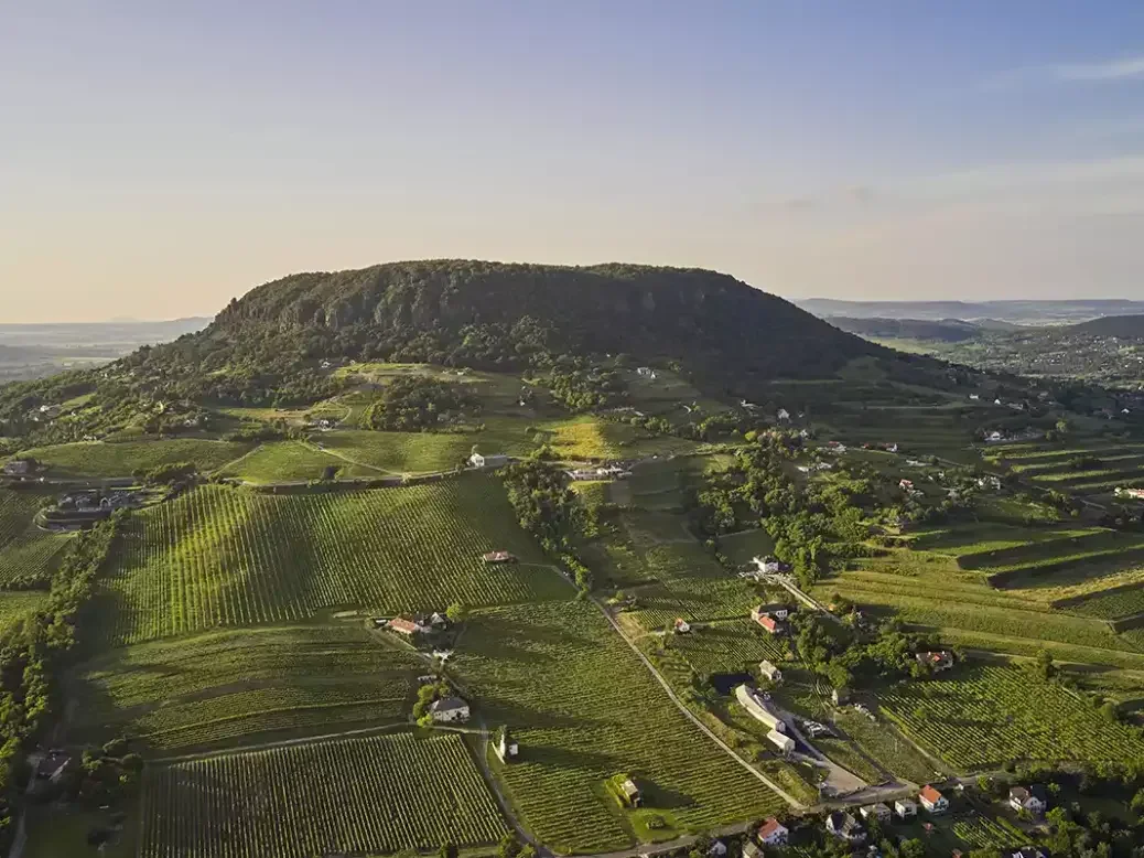 Badascony Keknyelu vineyards.