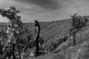 Christian Dautel in Niedernberg vineyard