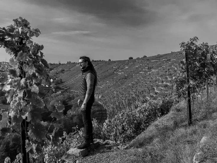 Christian Dautel in Niedernberg vineyard