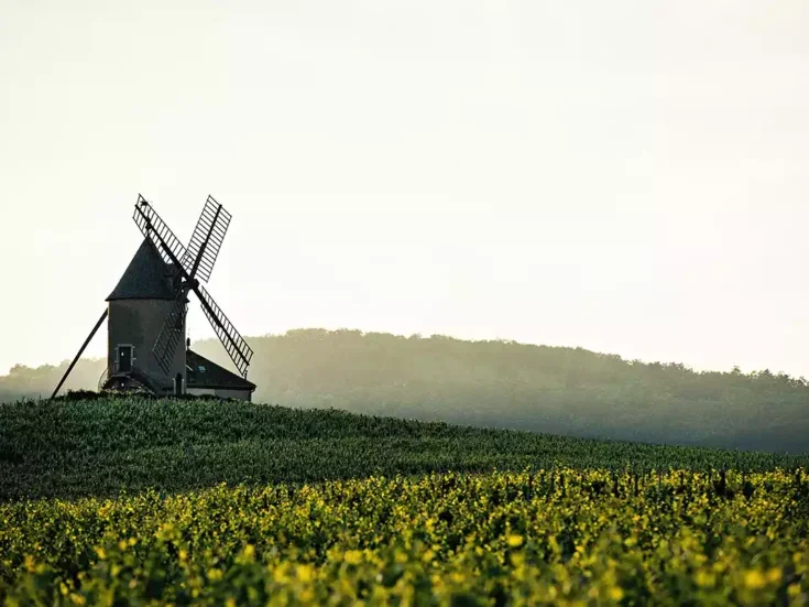 Moulin-à-Vent windmill