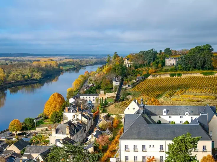 Chinon cabernet franc