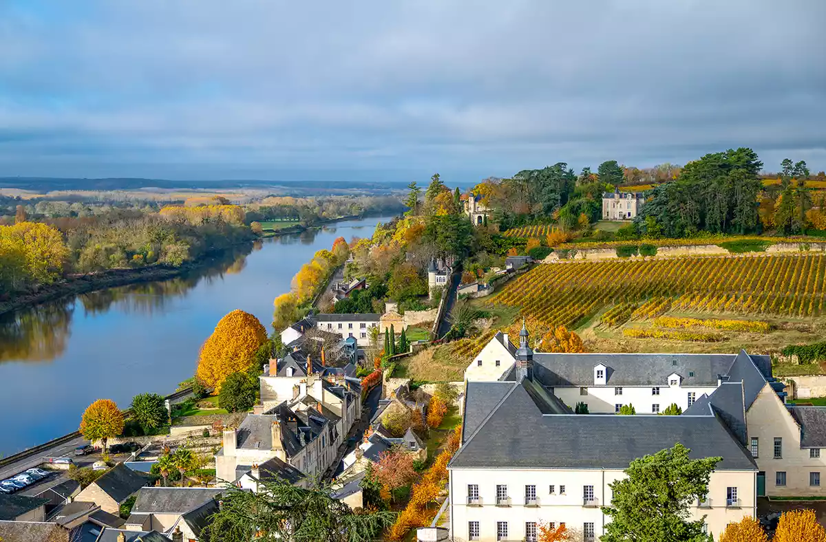 Global Cabernet Franc: A study in ripeness