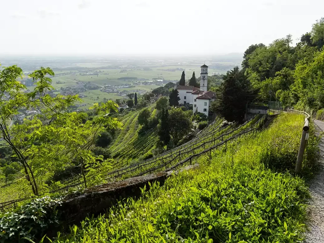 Panoramic view of the Collio hills, Cormons, between Gorizia and Nova Gorica. Photography by Shutterstock.