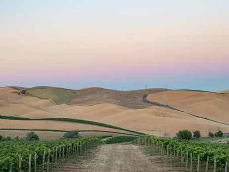 How to fill a 4,000-hectare hole: The future of Washington State wine