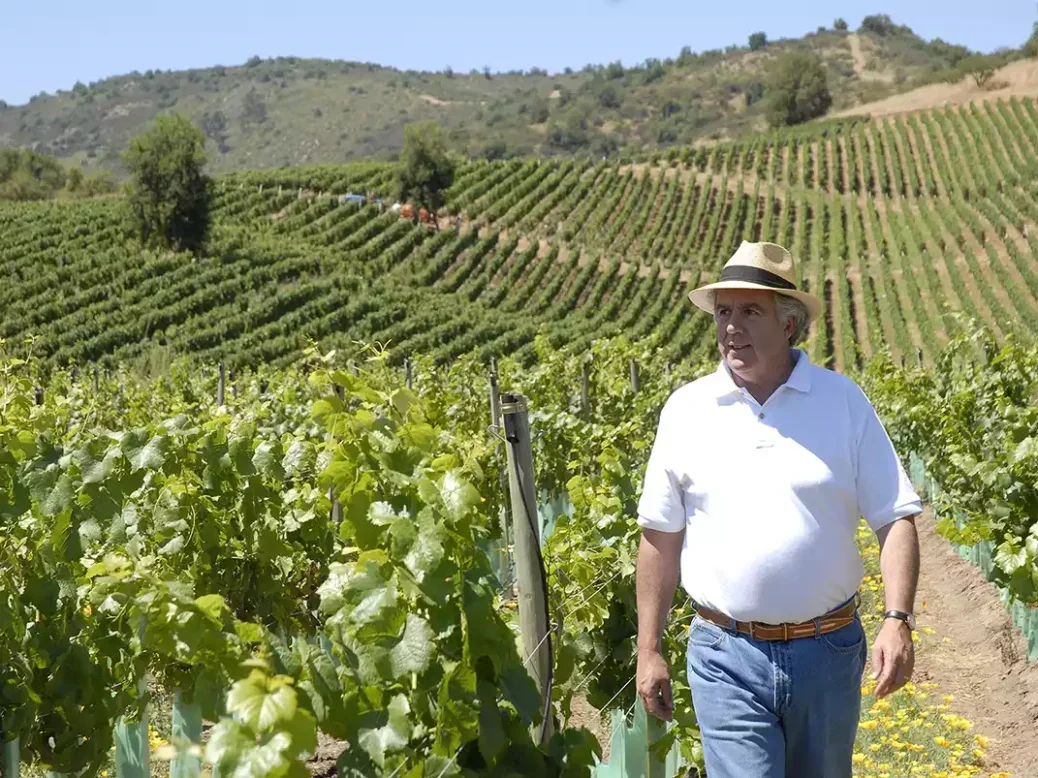 Pablo Morandé walking in a vineyard