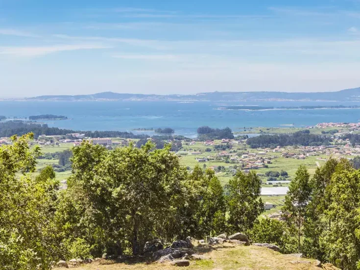 A view of trees and fields in the Salnés Valley leading to the Arousa estuary in the distance