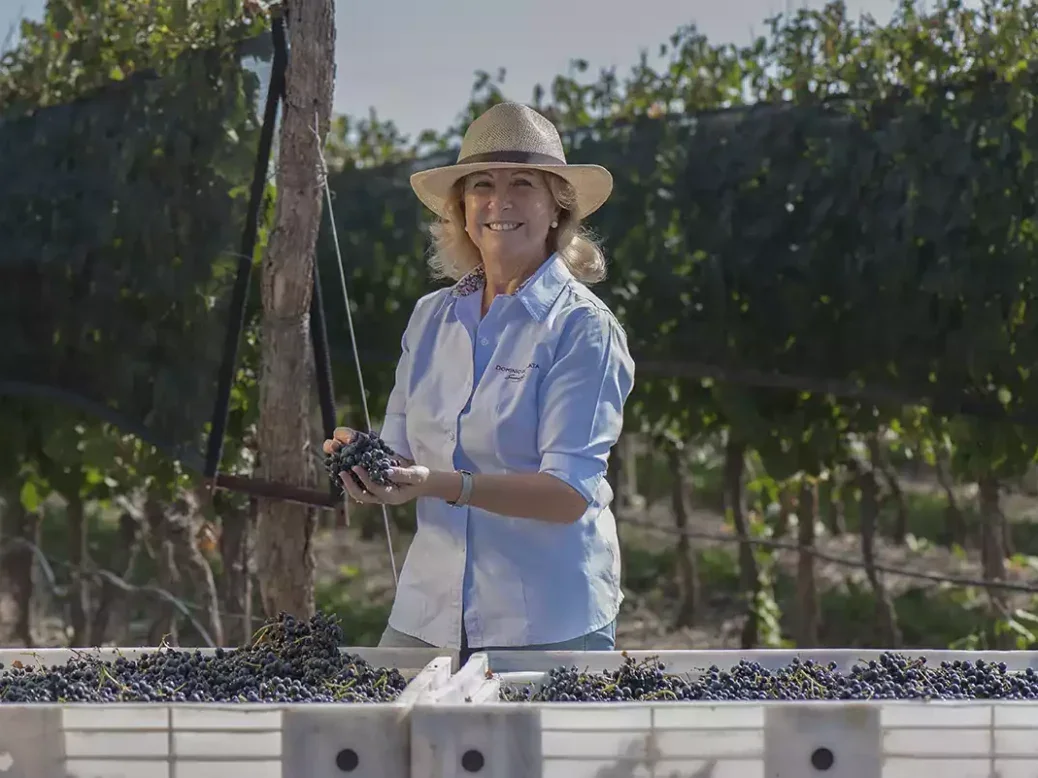 Susana Balbo holding a bunch of grapes in a vineyard