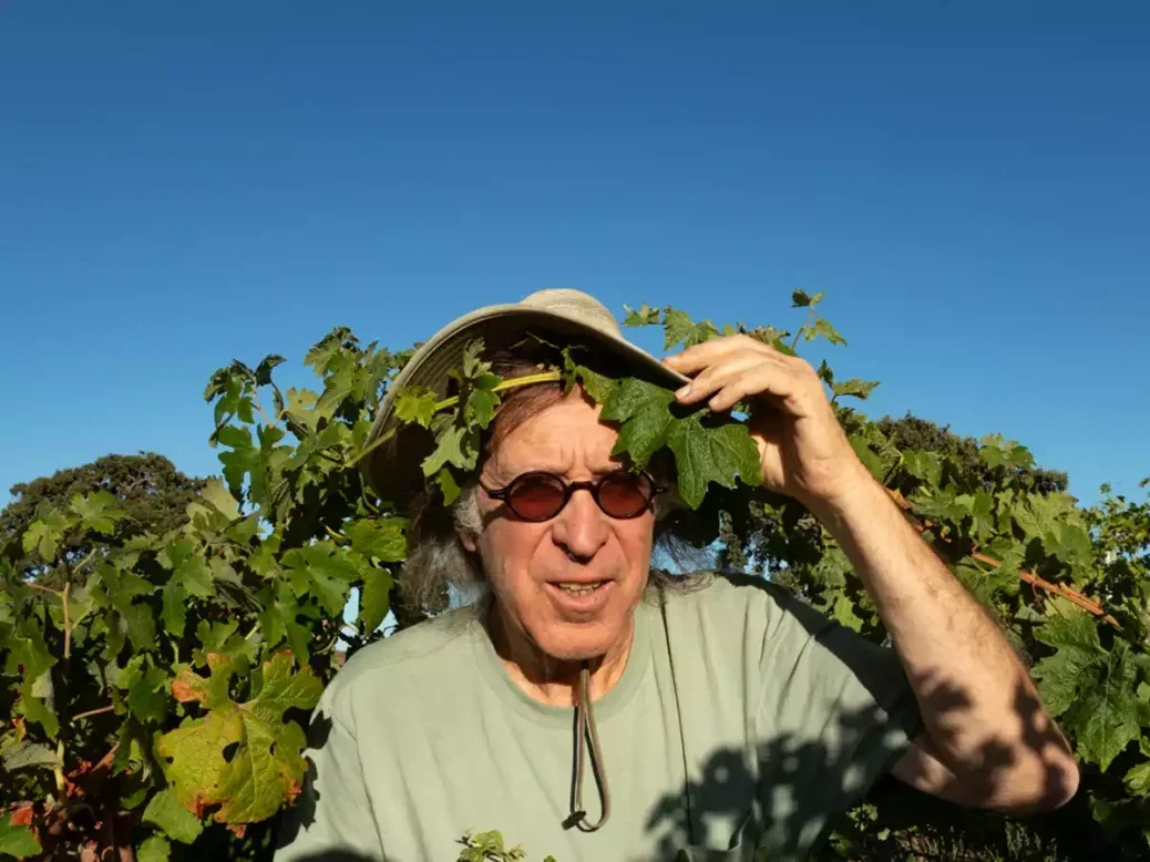 Randall Grahm holding hat to his head in a vineyard surrounded by vines