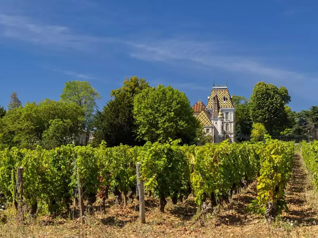 Burgundy 2023 vineyard with chateau with colourful roof