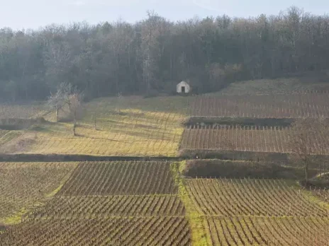 2023 Burgundy: A guide to the villages and vineyards