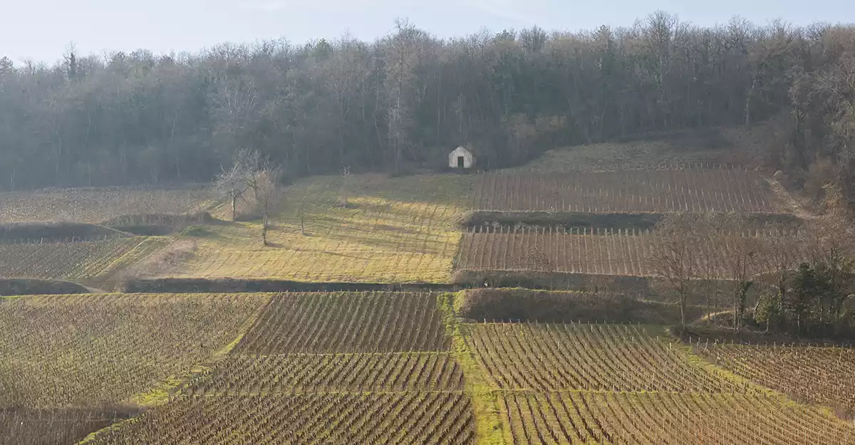 2023 Burgundy: A guide to the villages and vineyards