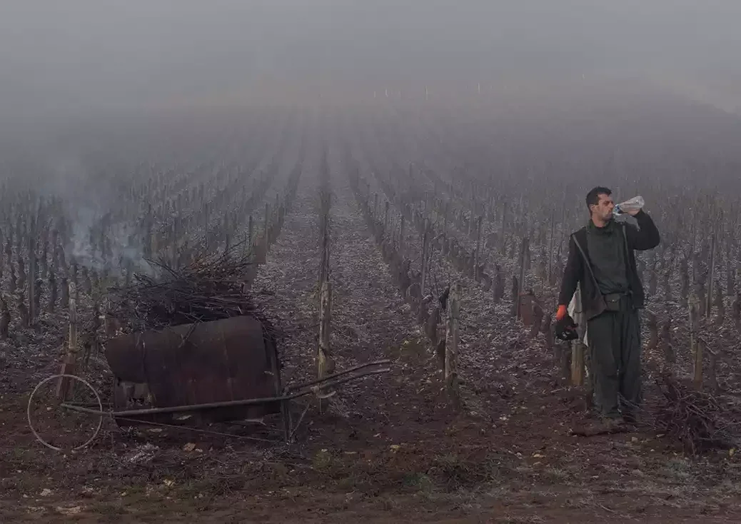 A man stands having a drink in a misty smoky vineyard