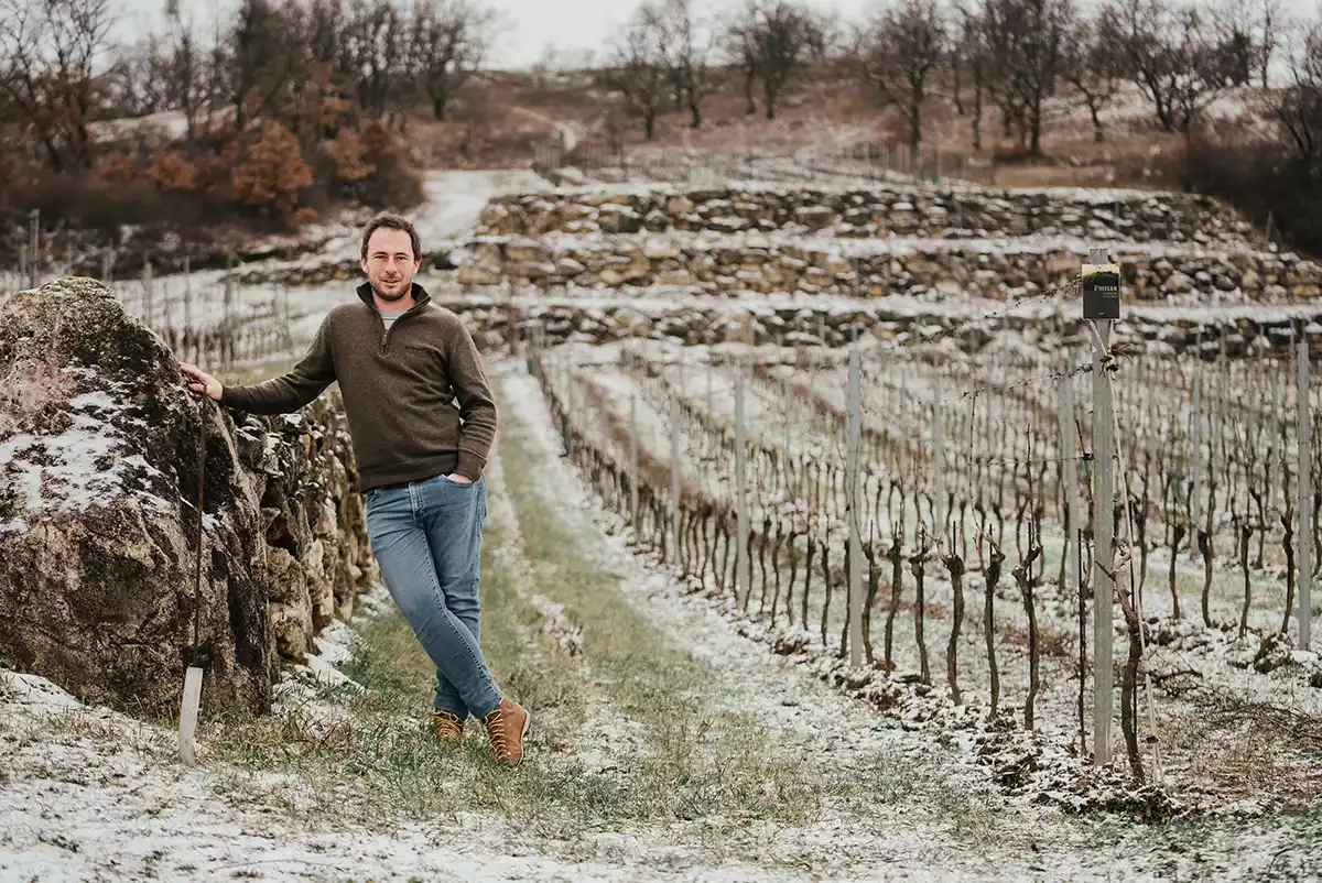 Weingut Prieler 2024: Beating a path to the elite