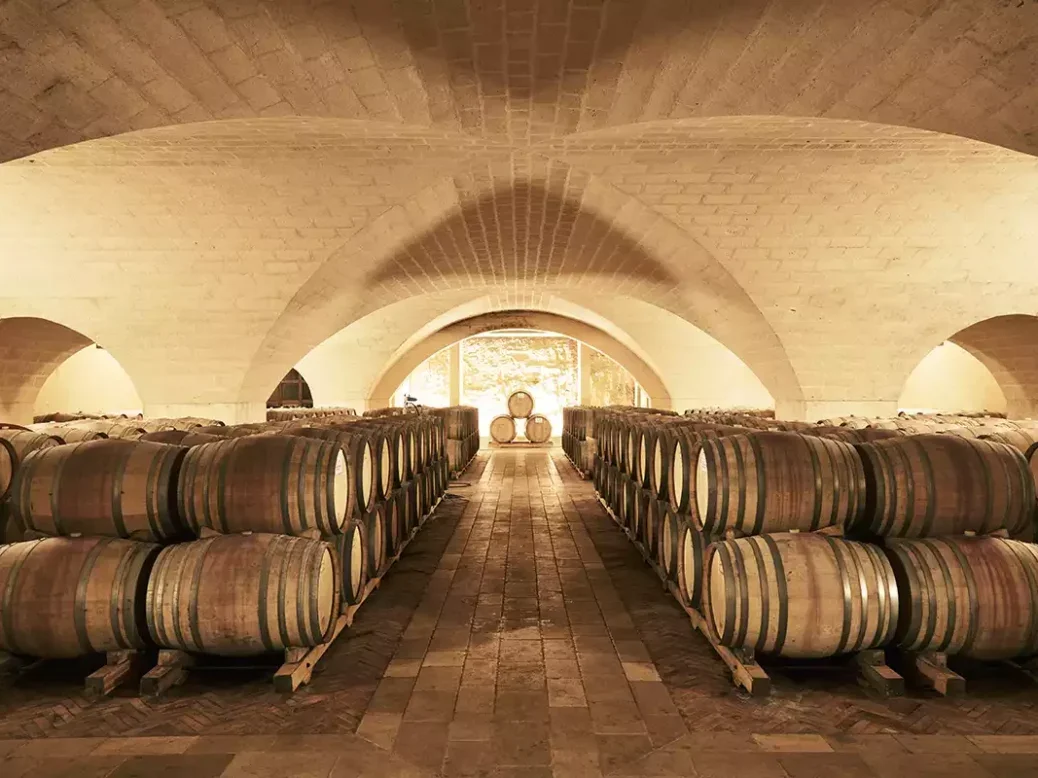 the bocca di lupo wine estate barrel cellar with two rows of barrels under a vaulted ceiling with terra cotta tiled floor