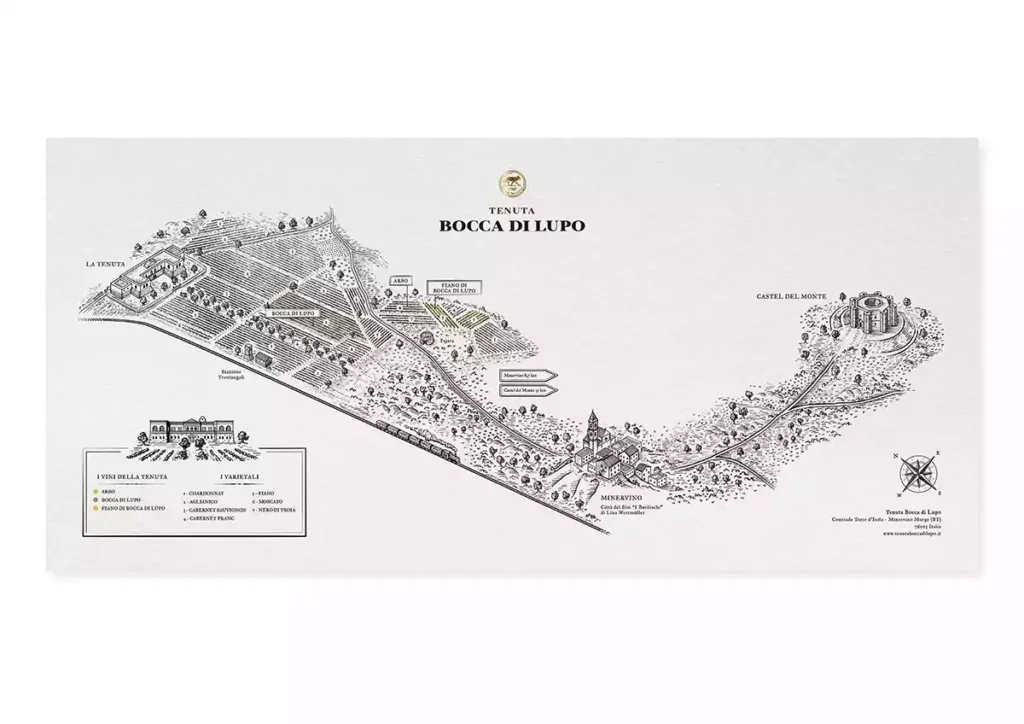 A black-and-white pencil illustrated map of Bocca di Lupo wine estate's vineyards