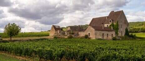 2023 Burgundy tasting notes: Côte de Beaune—Chassagne-Montrachet