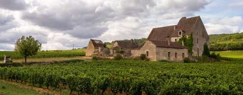 the Abbaye de Morgeot, a stone building with red tiled roof surrounded by vines in Chassagne-Montrachet