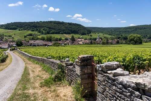 Auxey-Duresses village on the horizon under a wooded hill with a long stone wall and a road in front