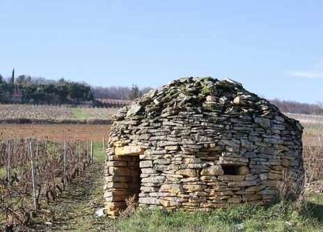 2023 Burgundy tasting notes: Beaujolais