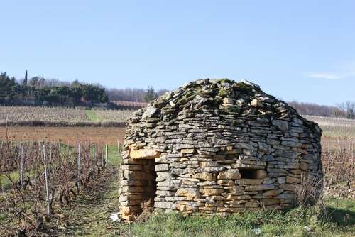 An old domed stone hut in vineyards in winter on a sunny day in Beaujolais