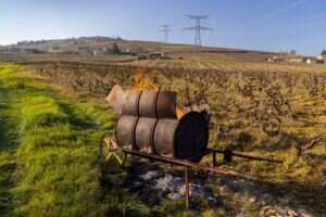 A barrel-shaped brazier with fire in autumnal vineyards blow power pylons in Givry, Côte Chalonnaise.