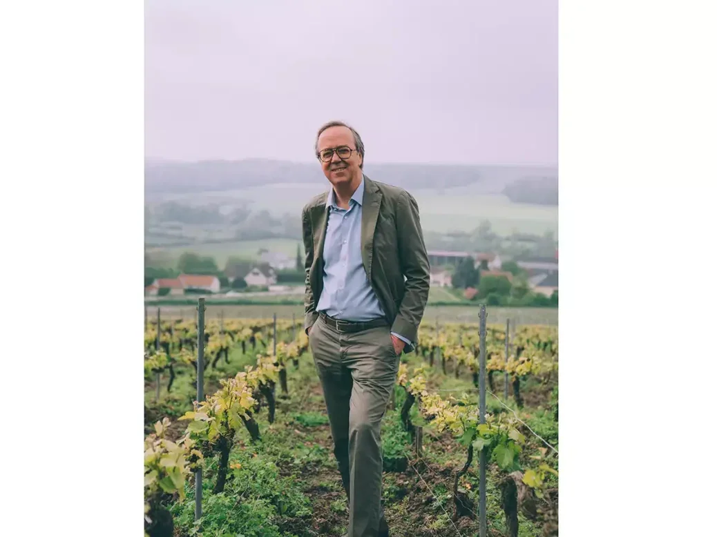 Frederic Rouzaud stands in a vineyard between two roes of vines with a view of a village in the hazy background